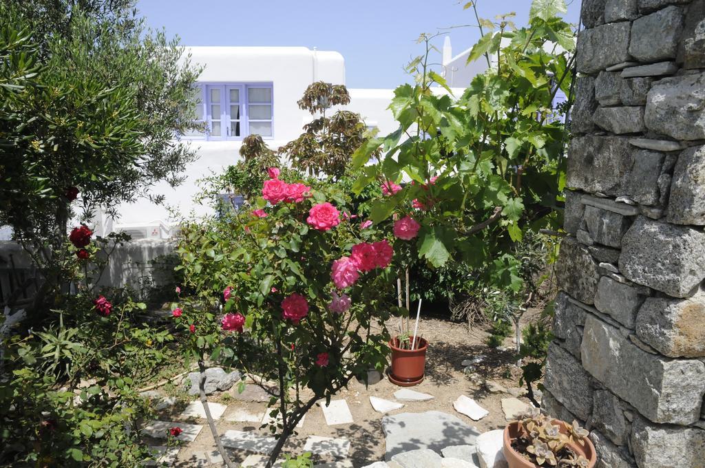 Andriani'S Guest House Mykonos Town Екстер'єр фото